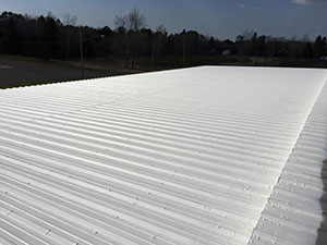Seamless Roof System