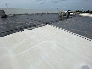 Seamless Roof System1