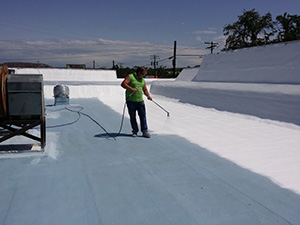 Seamless Roof System Plymouth IN1