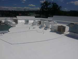 Seamless Roof System Plymouth IN