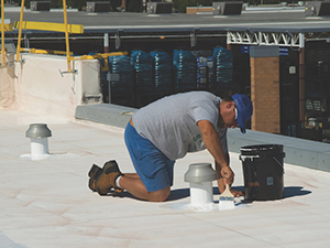 Roof Maintenance